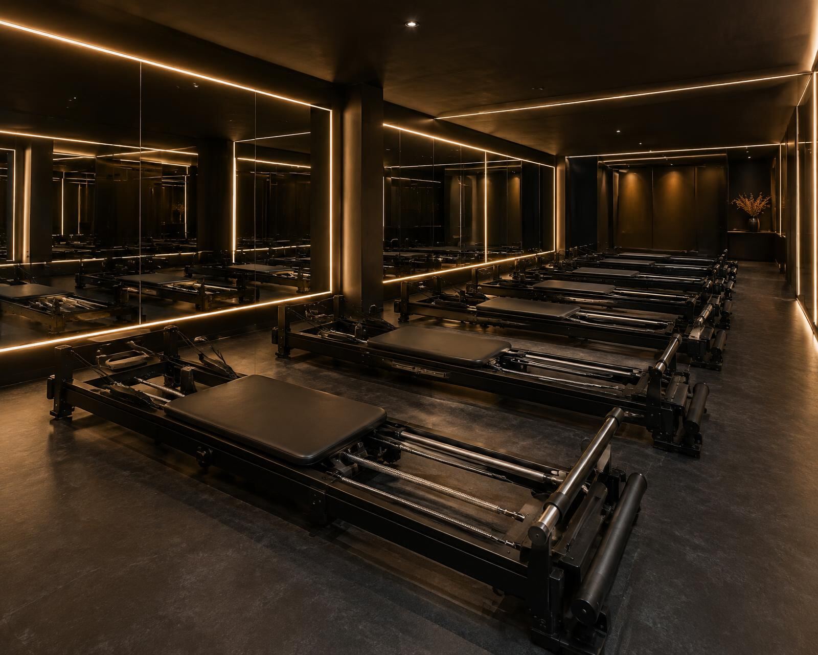 Projection de la salle Wild Strenght avec MegaCore noirs, miroirs et néons
